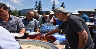 (Özel) Sakaryanın En Yüksek Noktasında Şehitler Dualarla Anıldı