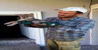 Sakaryalı Çiftçiden Alkışlanacak Davranış