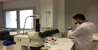 Paü Teknoloji Fakültesinden Silikon Vadisine
