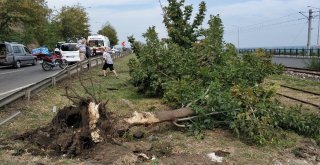 Kazada Yaralanan Polis Eşini Alnından Öperek Teselli Etti