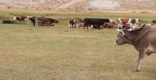 Kayseride İki Mahalle Karantinaya Alındı