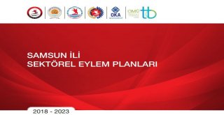 Samsun Ve Amasya Kalkınma Sektörel Eylem Planları Tamamlandı.