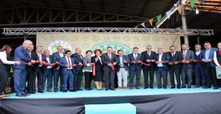 Geyve Ayvası Dünya Markası Olacak