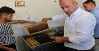 Siirtte Yılın İlk Balı Toplandı