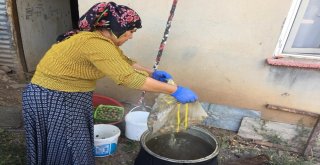 (Özel) Beytüşşebapta Erik Hasadı Başladı