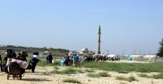 Ülkelerine Gitmek İsteyen Suriyeliler Öncüpınara Akın Etti