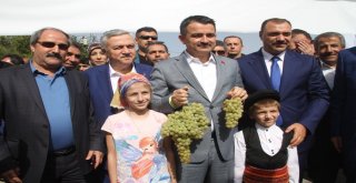 Bakan Pakdemirli, Önlük Giyip Orcik Yaptı