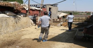 Diyarbakırda 15 Yaşındaki Genç, Babasının Silahıyla Kazara Kendini Vurdu