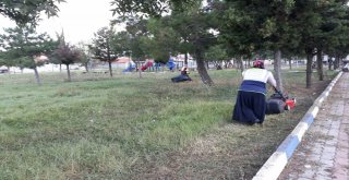 Ergenede Park Ve Bahçelerde Yoğun Mesai