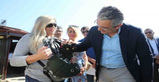 Sokak Hayvanları İçin ‘Yaz Seferberliği