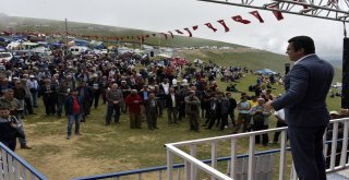 Teröre İnat Binlerce Kişi 173.güvende Yayla Şenliğinde Buluştu