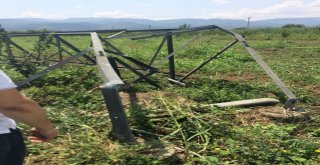 Hırsızların Dadandığı Elektrik Direkleri Tarlalara Devrildi