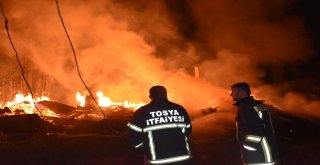 Tosyada Çıkan Yangında 8 Ev Tamamen Yandı
