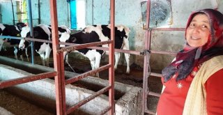 Orman Köylüsüne Destek Artarak Devam Ediyor