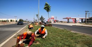 Viranşehirde Değişim Atağı Sürüyor