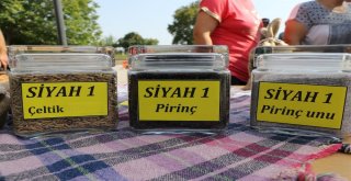 Yerli Ve Milli Çeltik Tohumları Görücüye Çıktı