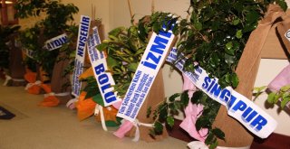 Dünyanın Her Yerinden Şanlıurfaya Çiçek Yağdı