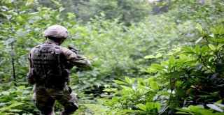 Asker Karadenizde 2 Pkklı ‘Kawa Ve ‘Arasın Peşinde