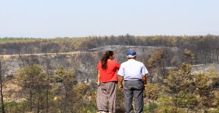 Antalyada Yangının Ardından Ürküten Manzara
