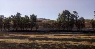 Çorumda Yangın