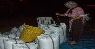 Sergilerde Kuruyan Üzümler Çuvallanıyor