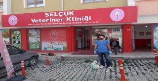 Yedaş Ekipleri Tarafından Bulunan Yaralı Leylek Tedavi Altına Alındı