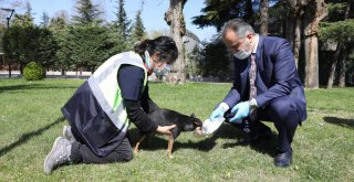 Can dostlarına modern rehabilitasyon merkezi