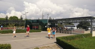 Troya Ören Yerine 2018 Troya Yılı Bereketi