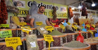 72 Memleket Ceylan Karavil Park Avmde Buluştu