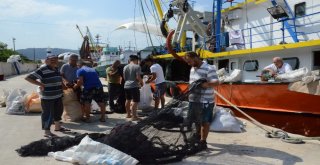 Karadenizli Balıkçılarda Sezon Heyecanı