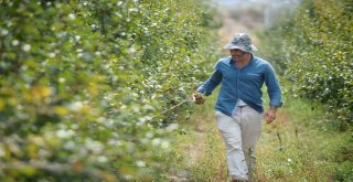 Borlu Su Sebzeleri Kuruttu