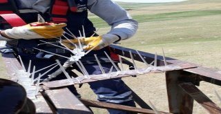 Vedaştan ‘Kuşkonmaz Montajı Ve Orta Gerilim İzolasyon Çalışması