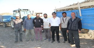 Malazgirtte Pancar Alımları Başladı