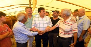 Osmangazi Kurban Bayramına Hazır