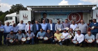 Kızılcahamamda Güreş Festivali Yoğun İlgi Gördü