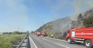Sökede Arazi Yangını