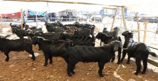 Arefe Günü Pazarlıklar Sıkılaştı