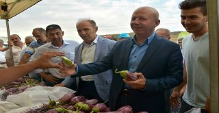 Yamula Patlıcanı Tanıtım Etkinliği Hazırlıkları Tamamlandı