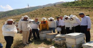 Terör Bitti Bölgeye Huzur Geldi