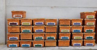 Genç Çiftçilere Arı Ve Arıcılık Malzemesi Dağıtıldı