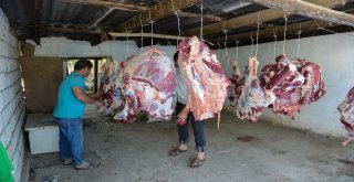 İhh Azerbaycanda Kurban Kesimi Yaptı