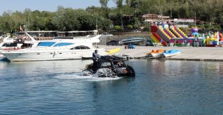 Vanda Sivrisinekle Mücadele