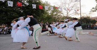 Yenimahallede Dans Festivali