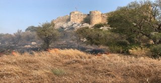 Osmaniyede Bulunan Kastabala Antik Kentinde Orman Yangını Çıktı