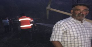 Kaymakam Ve Vatandaşlar, Ormanı Yanmaktan Kurtardı