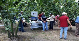 Ferrero, Fındık Üreticilerini Bahçelerde Bilgilendiriyor