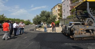 Efelerin Yolları Yenileniyor