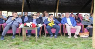 Aydıntepe Yaylasında Şölen Coşkusu..