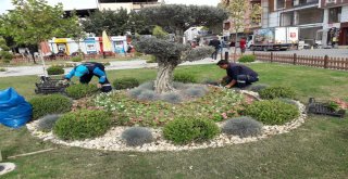 Yunusemrede Park Ve Bahçelere Kış Bakımı