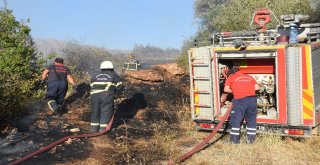 Gümüşhanede Örtü Yangını